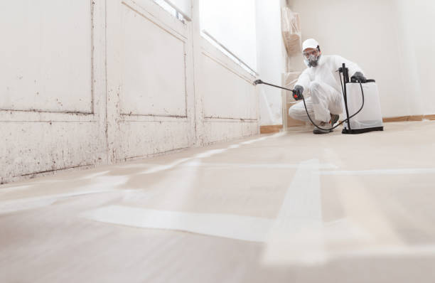 24/7 Emergency Black Mold Removal experts in Gainesville, VA