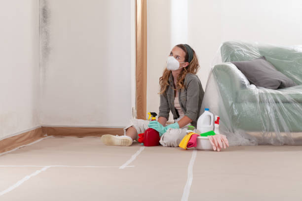 Reliable Mold Remediation contractor in Gainesville, VA by Cheap Mold Removal