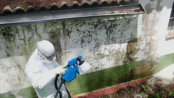 Trusted Mold Testing service in Gainesville, VA - Cheap Mold Removal